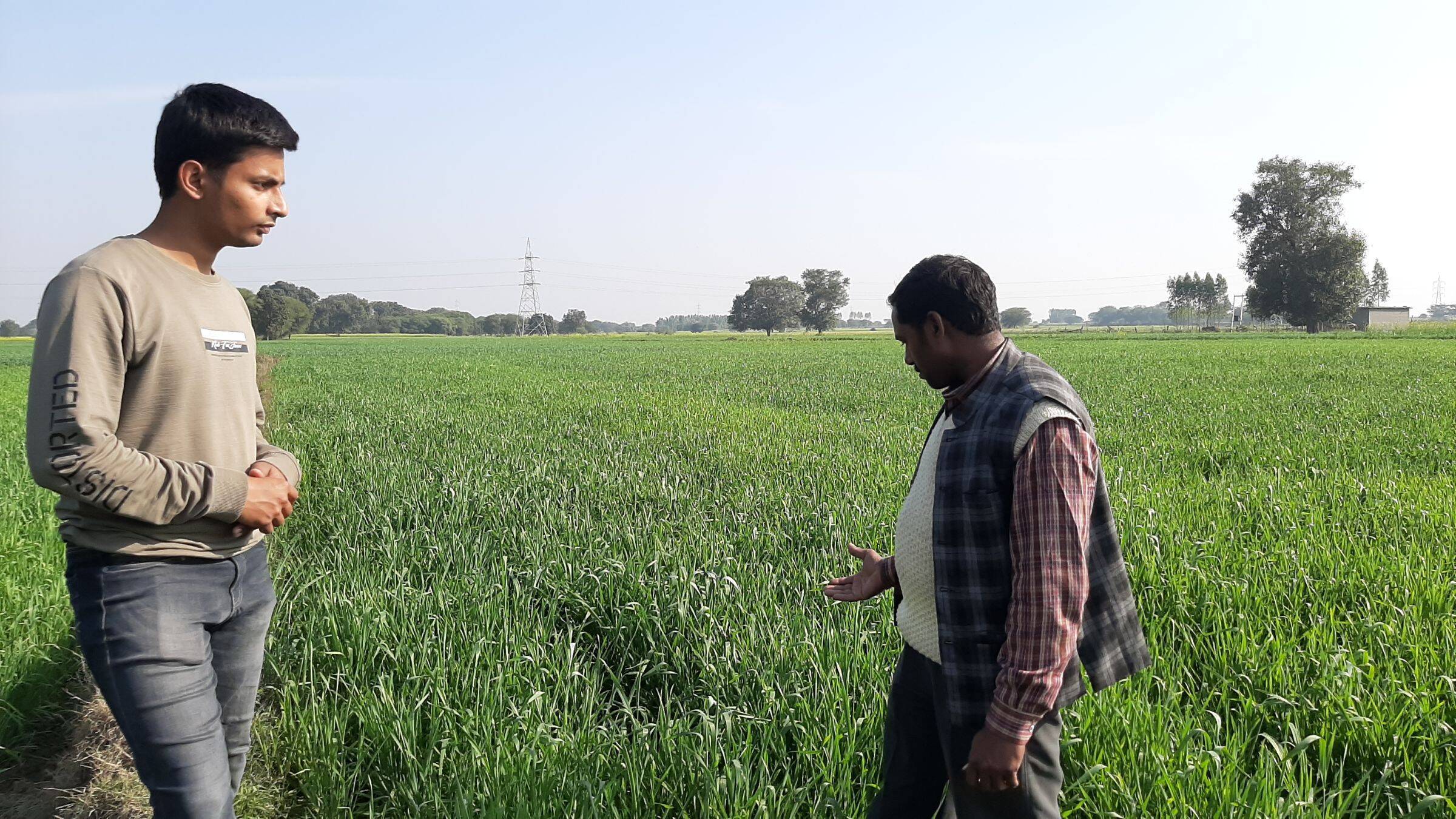 保冷剤の中身が砂漠を緑に　世界の水不足を救う循環ポリマー