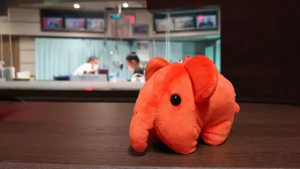 「日本最古のハンバーガーチェーンにして絶滅危惧種！『ドムドムハンバーガー』の今」の画像