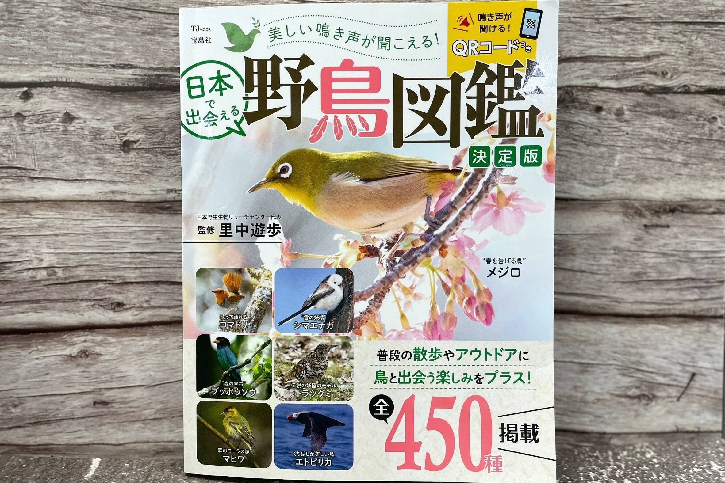 鳥大好き山内アナ解説付き、聴けば見えてくる⁉水辺のバードリスニング！