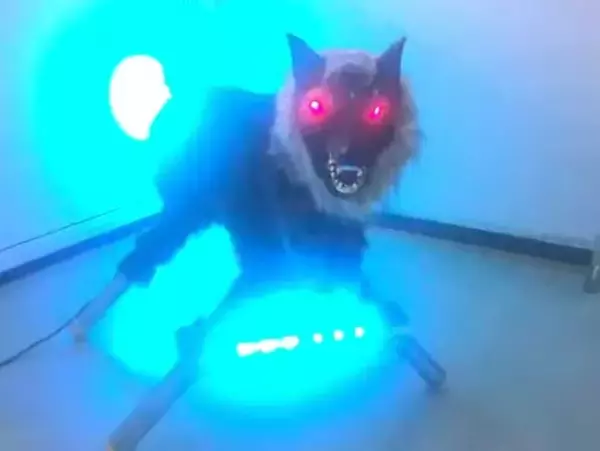 続くクマ被害～クマ対策の最新情報