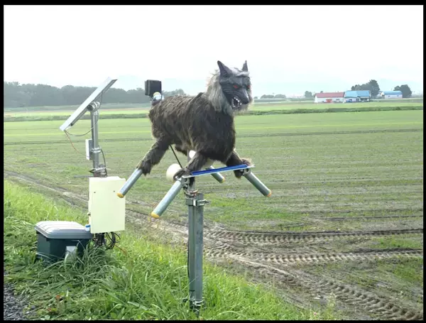 「続くクマ被害～クマ対策の最新情報」の画像