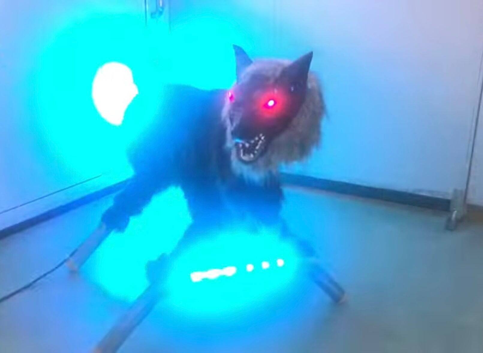 続くクマ被害～クマ対策の最新情報