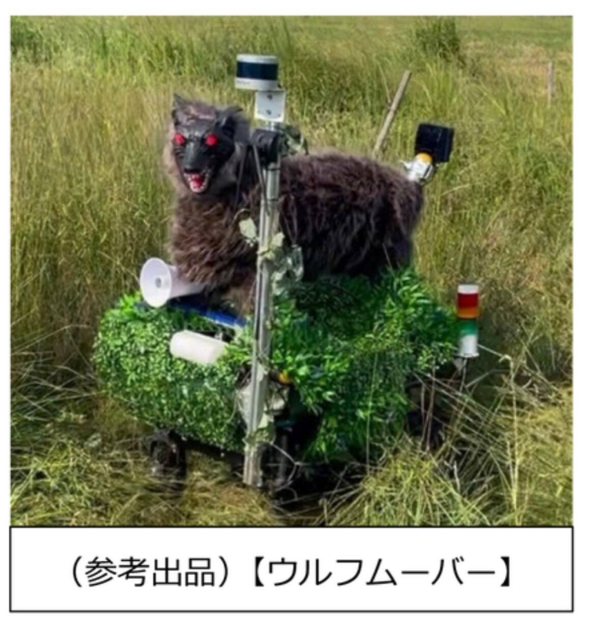 続くクマ被害～クマ対策の最新情報