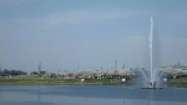 「ダムに名前をつける時代　埼玉県の水辺施設ネーミングライツ」の画像