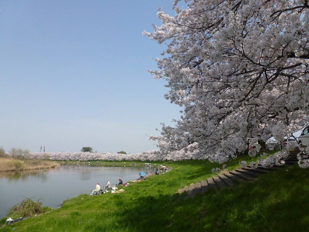 ダムに名前をつける時代　埼玉県の水辺施設ネーミングライツ
