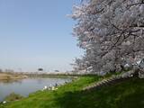 「ダムに名前をつける時代　埼玉県の水辺施設ネーミングライツ」の画像4