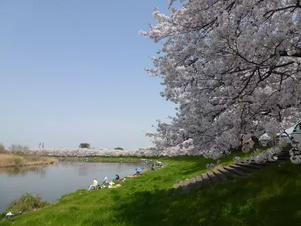 「ダムに名前をつける時代　埼玉県の水辺施設ネーミングライツ」の画像