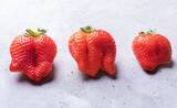「ミツバチ不足に悩む農家を救う一手」の画像3