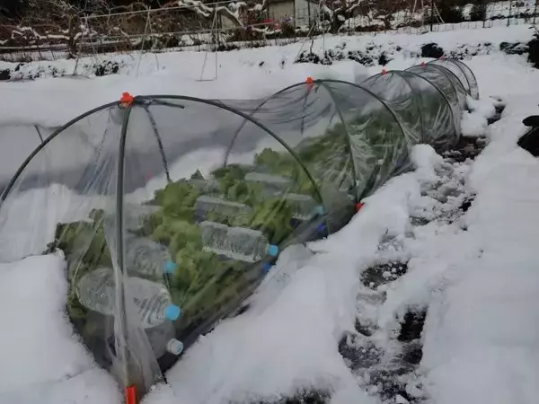 水を使って、冬場の農家の燃料費を抑える技術！