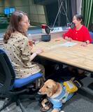 「イモト＆立木早絵さんの「盲導犬」の話」の画像15