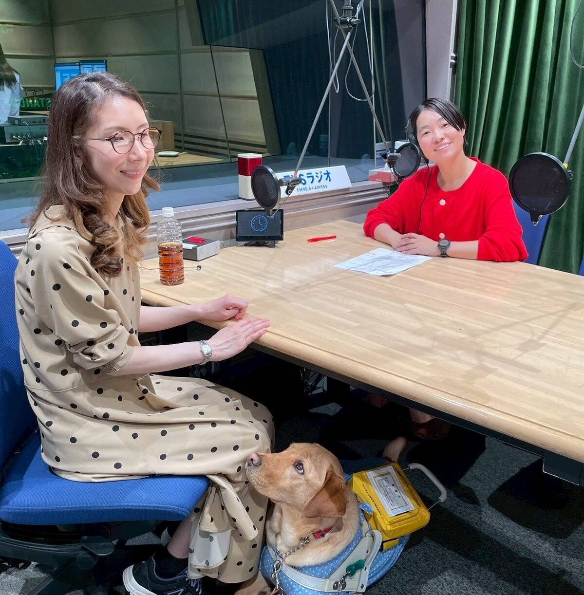 イモト＆立木早絵さんの「盲導犬」の話