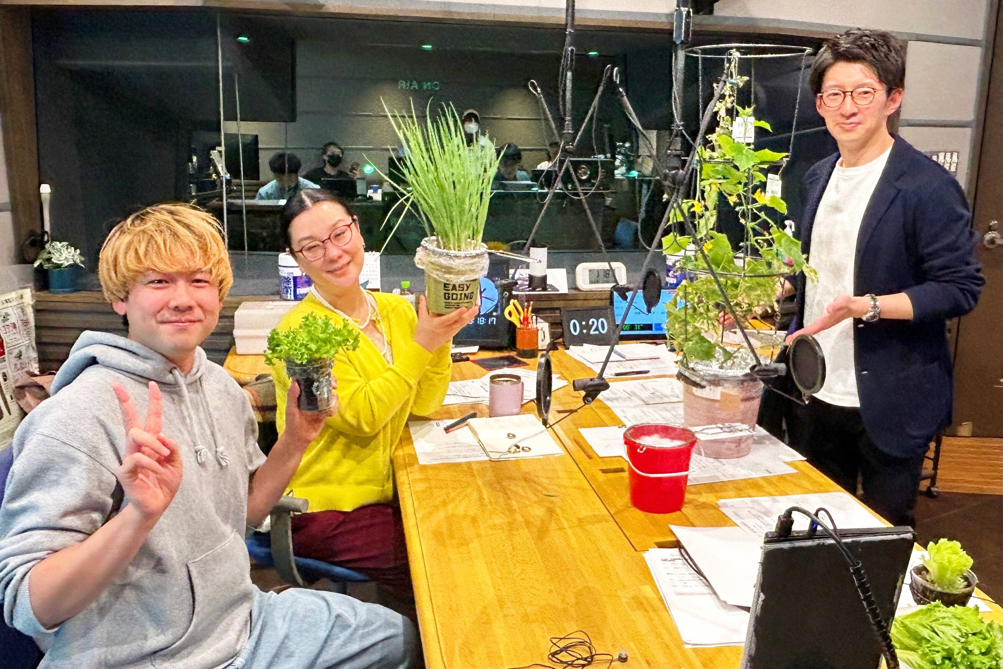 100ショップ品使用、室内で簡単家庭‼ 小ねぎやミニキュウリも目指せ豊作！