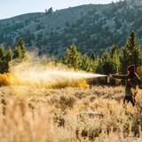 「クマとの遭遇に備える新常識」の画像3