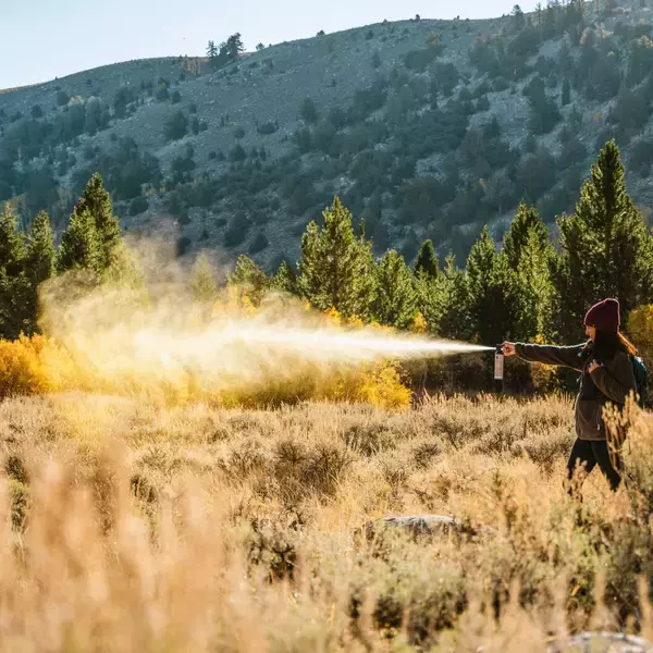 「クマとの遭遇に備える新常識」の画像