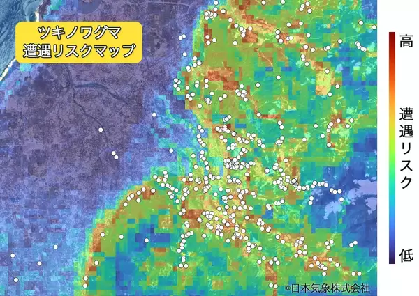 「クマとの遭遇に備える新常識」の画像