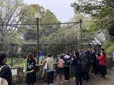 「めざせ！ハシビロコウの繁殖」の画像2