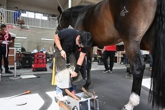 競走馬を支える足元技術 装蹄師の仕事とは？