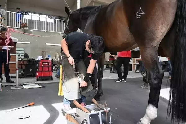 競走馬を支える足元技術 装蹄師の仕事とは？