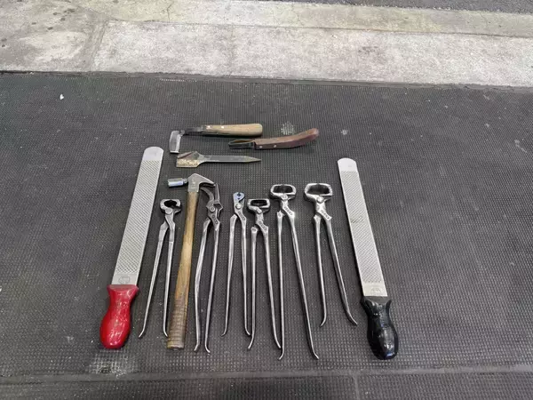 「競走馬を支える足元技術 装蹄師の仕事とは？」の画像