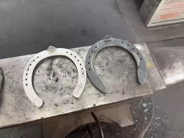 「競走馬を支える足元技術 装蹄師の仕事とは？」の画像