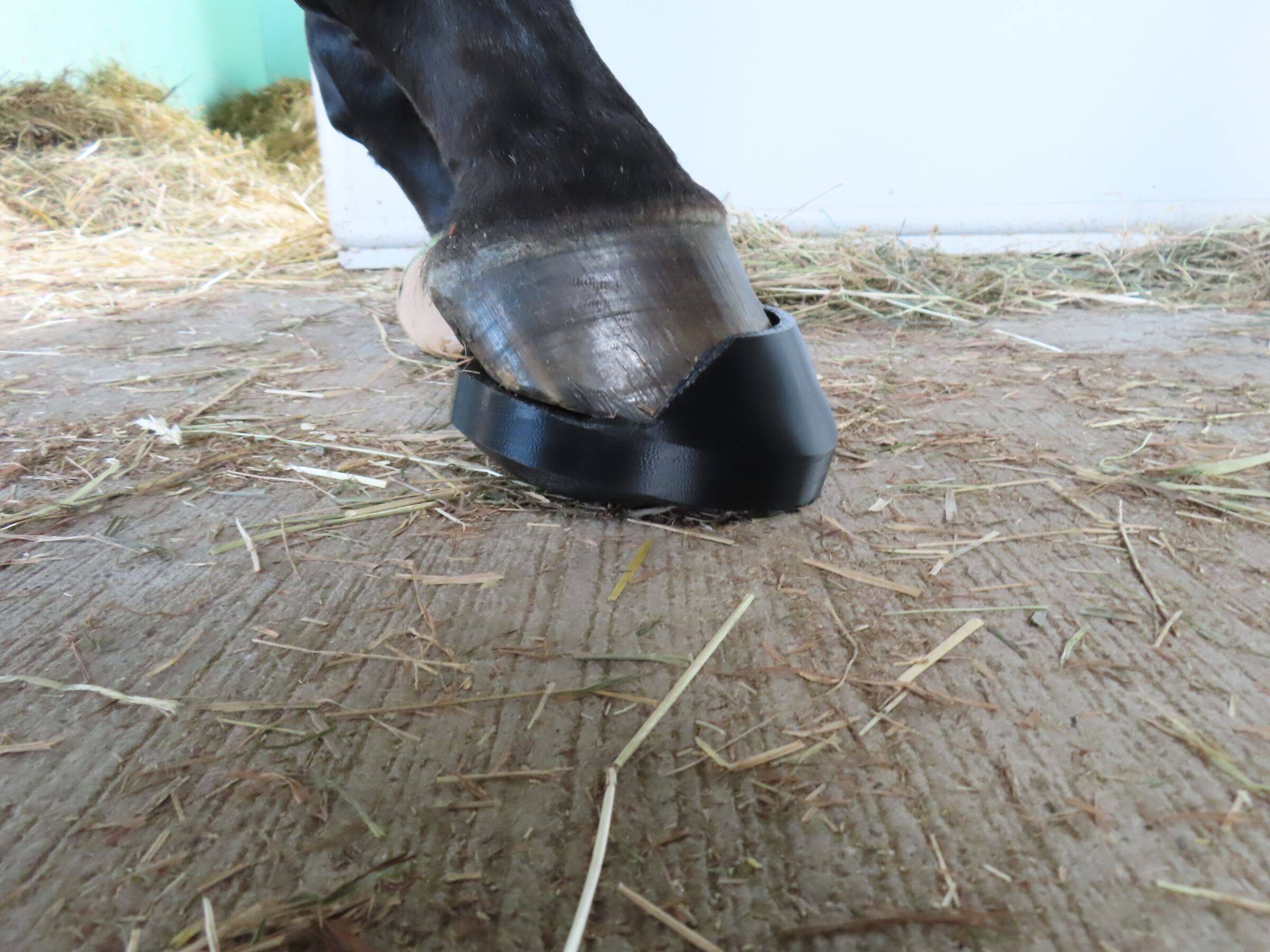 競走馬を支える足元技術 装蹄師の仕事とは？