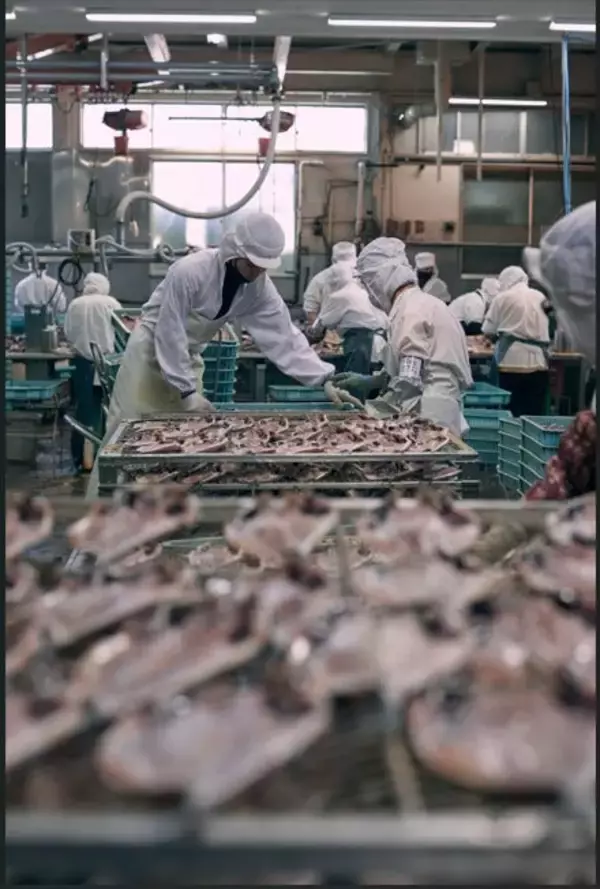 干物のいま　揺れる産地と広がる新しい味