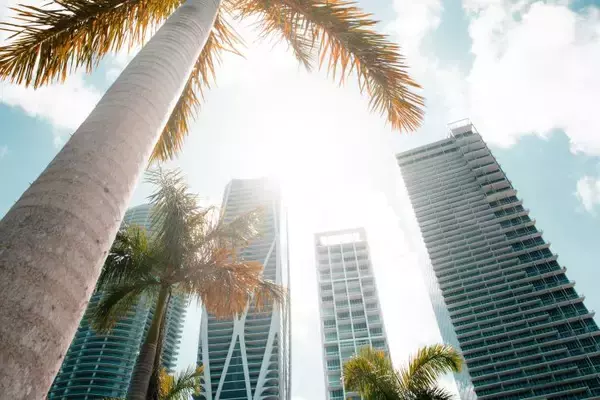 東京は今年初の猛暑日！こんな暑い日に食べたくなるモノは何ですか？