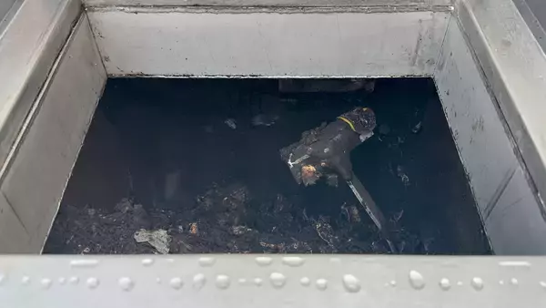 「花見のゴミをどう減らす？　中目黒の新しい挑戦」の画像