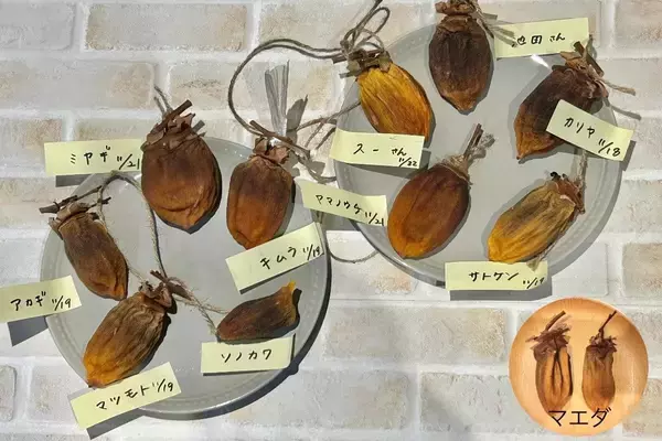 「今年の出来は果たして？！干し柿作り報告会2025！」の画像