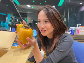 みんなで「干し柿づくり」始めませんか？