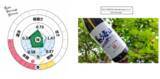 「味が見える！？ 日本酒テクノロジー」の画像3
