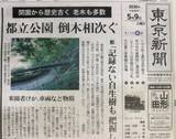「相次ぐ都立公園での倒木」の画像1