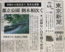 相次ぐ都立公園での倒木
