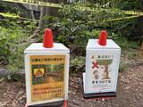 「相次ぐ都立公園での倒木」の画像4