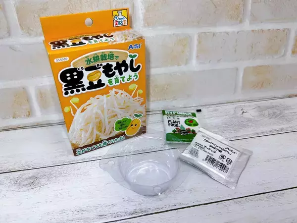 「”もやし”と一緒に年越し！種は比較的簡単に手に入る！おうち栽培にチャレンジ！」の画像