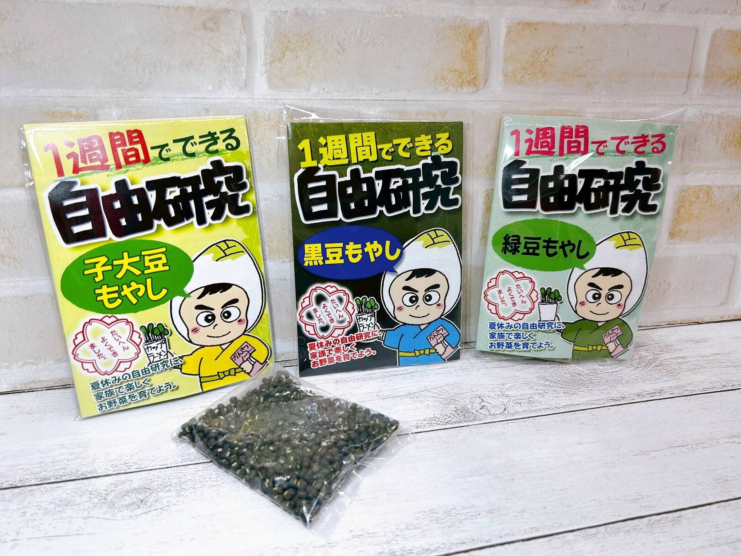 ”もやし”と一緒に年越し！種は比較的簡単に手に入る！おうち栽培にチャレンジ！