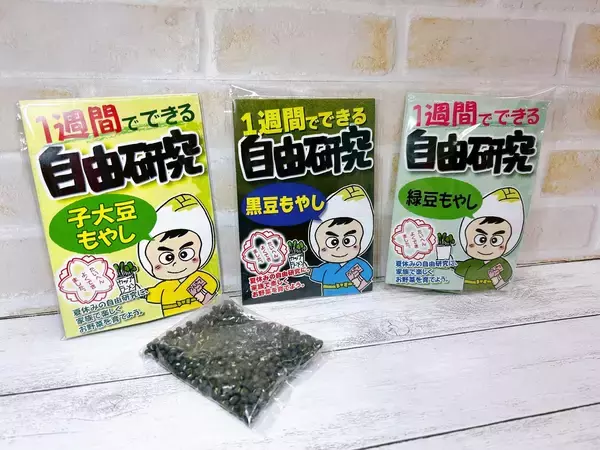 「”もやし”と一緒に年越し！種は比較的簡単に手に入る！おうち栽培にチャレンジ！」の画像