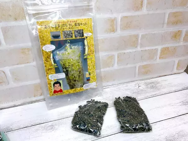 「”もやし”と一緒に年越し！種は比較的簡単に手に入る！おうち栽培にチャレンジ！」の画像