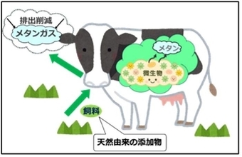 温室効果はCO2の28倍！牛のゲップ由来のメタンガスを減らせ