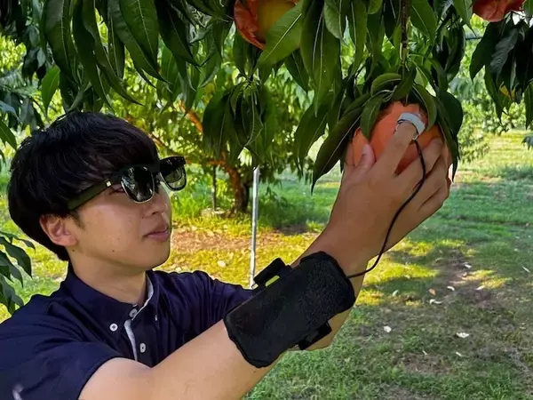 見えないものを見える化するメガネ