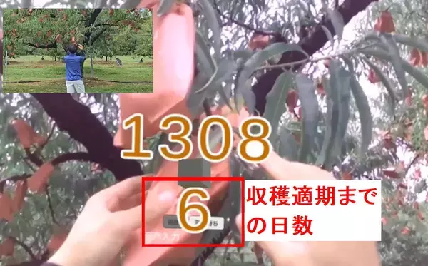 「見えないものを見える化するメガネ」の画像