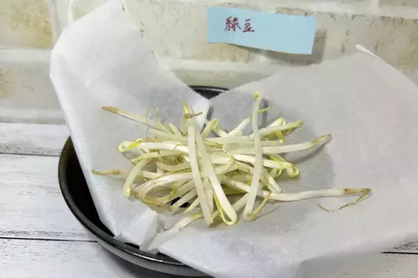 「実は栄養満点　もやしの豆知識」の画像