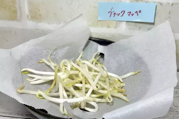 「実は栄養満点　もやしの豆知識」の画像