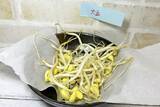 「実は栄養満点　もやしの豆知識」の画像4