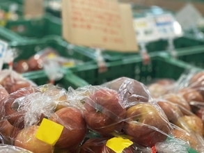 みんなの冷蔵庫「コミュニティフリッジ」関東初登場