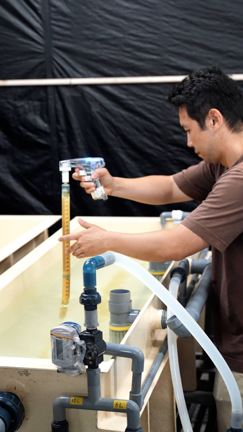 揺れるウナギ市場　完全養殖への道