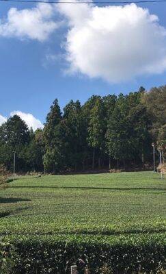 平成最大規模の停電に、防災意識の高い静岡県民も戸惑った