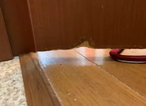 「空気階段の踊り場 「ネズミの穴そこじゃないですか？」」の画像