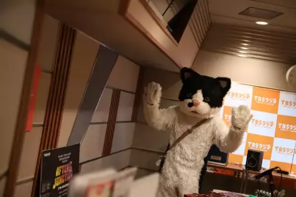 「天国帰りの猫ミュージシャンがスタジオライブという異常事態【ネコ界の星野源？】」の画像