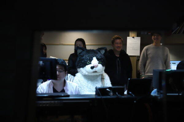 天国帰りの猫ミュージシャンがスタジオライブという異常事態【ネコ界の星野源？】